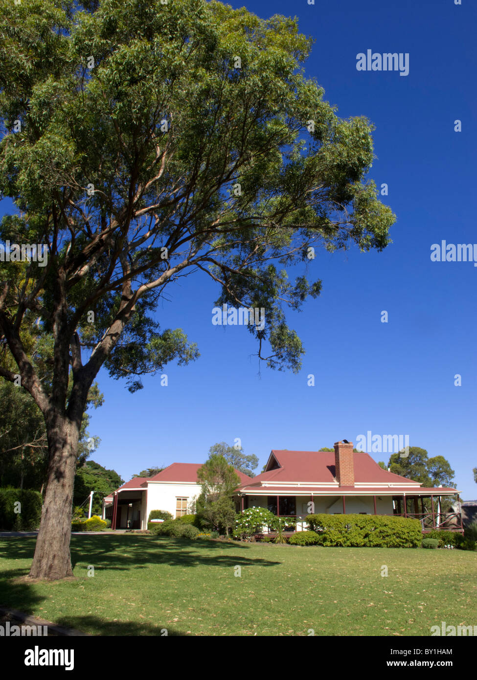 D`Arenberg winery at Mclaren Vale near Adelaide in South Australia Stock Photo